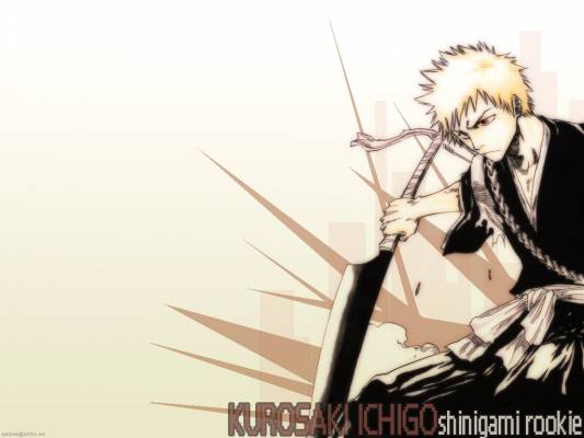 Otaku Gallery  / Anime e Manga / Bleach / Wallpapers / 049.jpg